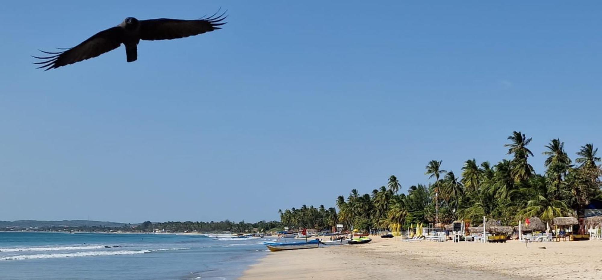 Lucky Beach Resort Trincomalee Exterior foto